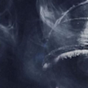 Meet your Posher, Henry